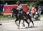Pferd International 182